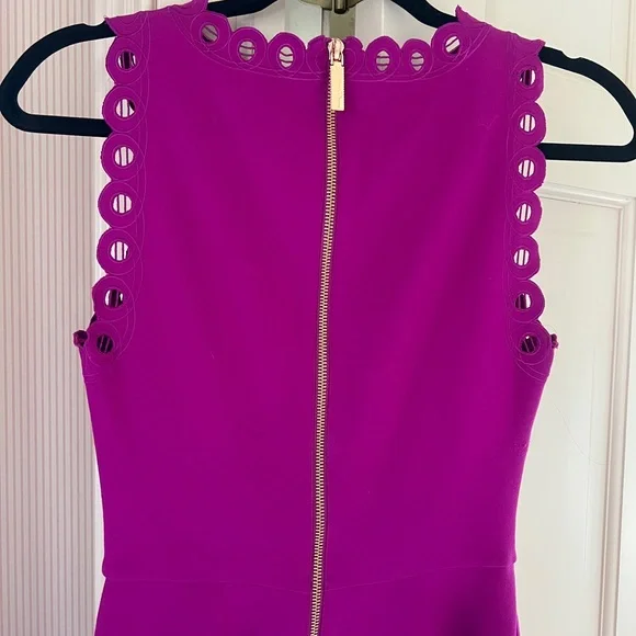 Ted Baker Sleeveless Dress with Lace Details - Picture 5 of 8